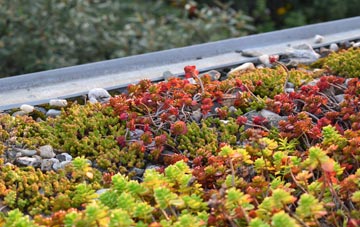 the cost of Brent green roof installation