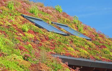 Brent living roof systems