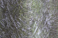 Brent fibreglass roof work